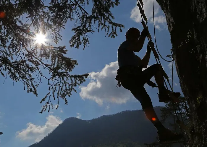 Demec Апартаменты Краньска Гора